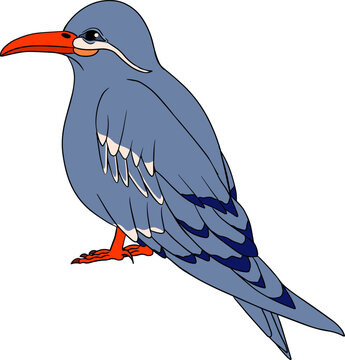 recommend clip art: Inca tern bird. Vector sketch of hand drawn bird.