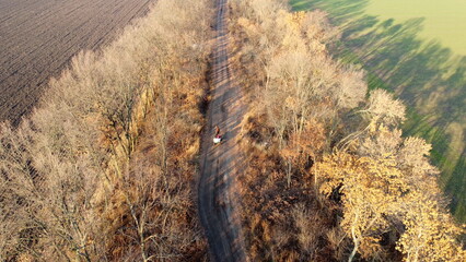 People riding in cart carriage with sacks and horses driving along dirt country road between trees without leaves on autumn sunny day. Rural countryside landscape, country scenery. Aerial drone view