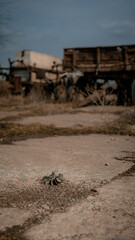 war Ukraine combat missiles rocket Russian army destruction pain genocide