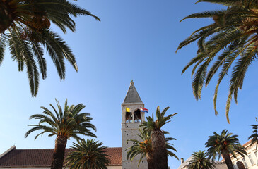 Рalm trees and church. Bell tower of St. Dominic's church against the blue sky, Trogir, Dalmatia, Croatia
