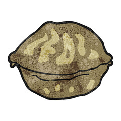 textured cartoon walnut in shell