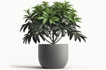 Plant in a gray pot on a white background. AI generative.
