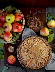 apple pie with fresh fruits on a wooden table