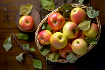 Naklejka na ściany i meble Ripe apples in a basket, with leaves around it
