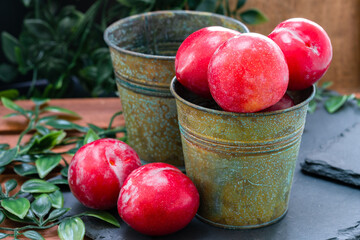 Fresh plums in a bucket