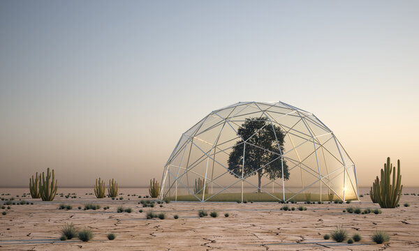 tree under a glass dome in desert area - 3D Illustration