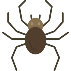 Spider Icon