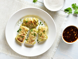 Cabbage rolls stuffed with meat