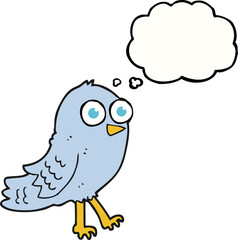 thought bubble cartoon bird