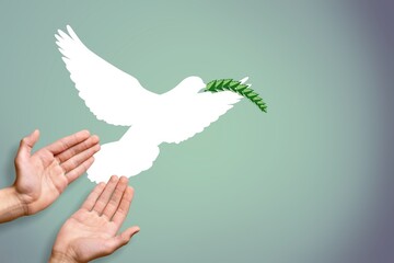 Dove of peace Symbol in human hands