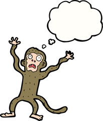 cartoon frightened monkey with thought bubble