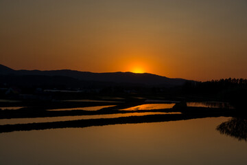 夕日を反射する水田
