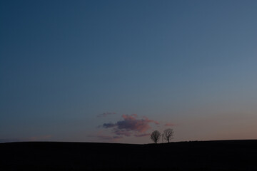Obraz na płótnie Canvas 春の夕暮れの空と冬木立 