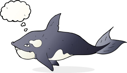 cartoon killer whale with thought bubble