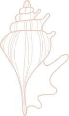 Seashell doodle illustration for decoration on marine life ,summer holiday and coastal concept.