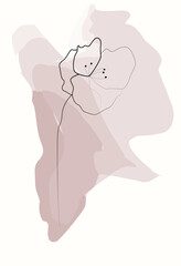 Poppy flower line art. Minimalist contour drawing. One line artwork.