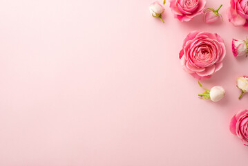 Fototapeta na wymiar Mother's Day celebration concept. Top view photo of pink peony roses on isolated pastel pink background with blank space
