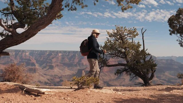Active fat mature woman hiker with trekking poles and backpack. Trekking and adventure on fantastic footpath in Grand canyon mountains with red rocks buttes cliff background amazing view. Slow motion