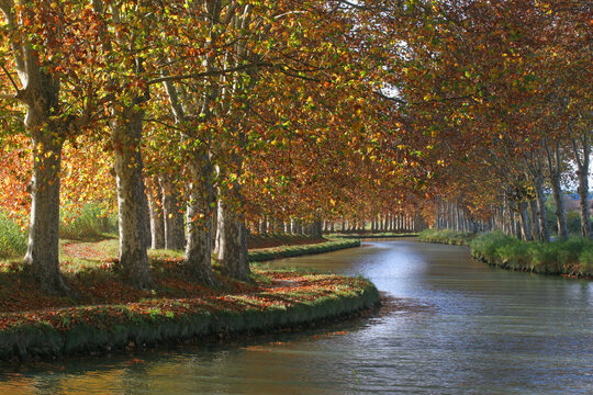 Canal du Midi Capestang, tourisme fuvial H&eacute;rault, all&eacute;es de platanes canal, illustration Canal du Midi, Occitanie, Canal du Midi pr&egrave;s de B&eacute;ziers, D&eacute;partement de l'H&eacute;rault, Sud de la France