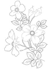 Abstract floral ornament. Hand drawn doodle. Vector illustration