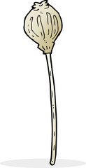 cartoon dried poppy