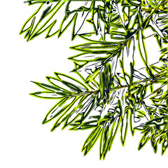 Color sketch of bamboo leaves with transparent background