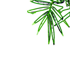 Color sketch of bamboo leaves with transparent background