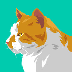 cat face side view close-up portrait. suitable for avatar, web, user profile, print, sticker, poster, and more. vector illustration