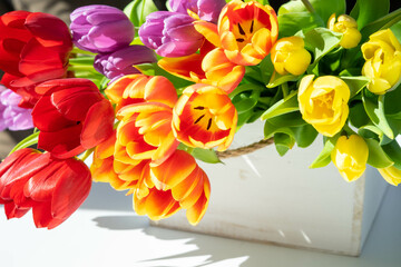 Colorful tulips floral arrangement in a wooden white box, on a white background in a sunny day
