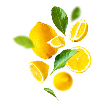 Collection of flying ripe juicy yellow lemons, green leaves isolated. Cut out organic lemon. With clipping path. Citrus tropical fruit, vitamin C. Creative food levitation concept, mockup 