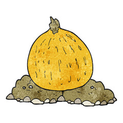 textured cartoon squash