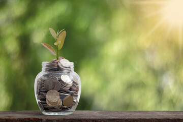 Medal in glass is placed on a wooden background in nature. (Saving concept)