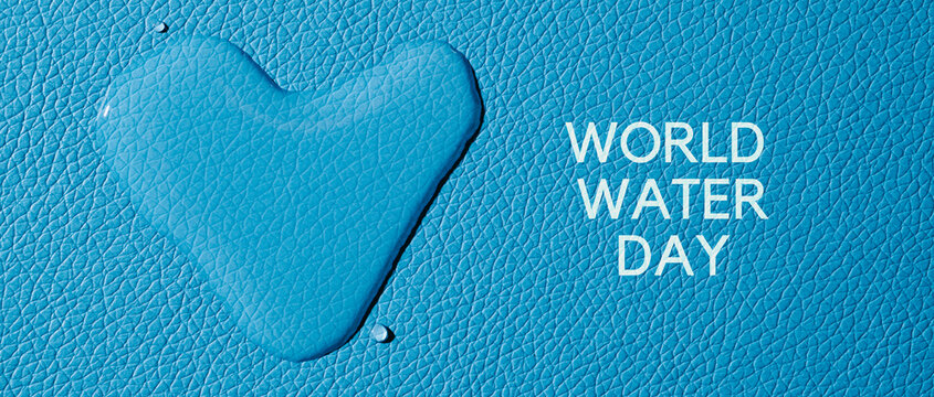 world water day, web banner format