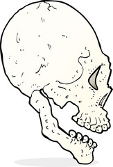 skull illustration