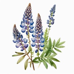 Obraz na płótnie Canvas Watercolor blue lupine flowers on white background. Generative AI art.