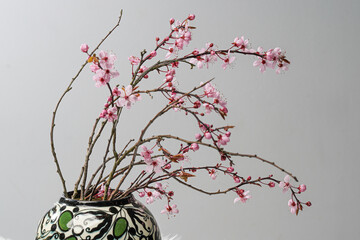 japanische Kirschbl&uuml;te07