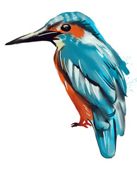 Obraz premium kingfisher bird. watercolour drawing illustration. Transparency background