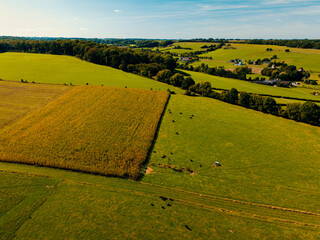 Aerial drone view of the beautiful farmland in Limburg, the Netherlands.