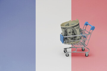 Metal shopping basket with dollar money banknote on the national flag of france background. consumer basket concept. 3d illustration