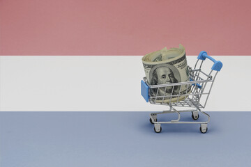 Metal shopping basket with dollar money banknote on the national flag of netherlands background. consumer basket concept. 3d illustration