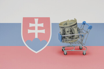 Metal shopping basket with dollar money banknote on the national flag of slovakia background. consumer basket concept. 3d illustration