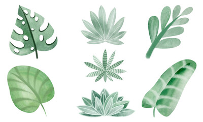 Green tropical leaves. Set of watercolor cartoon elements of leaves, plants. Colorful and beautiful picture. Isolated objects on a white background. © Elena