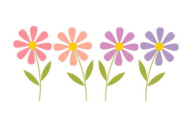 Flowers pink and purple colors isolated on white background