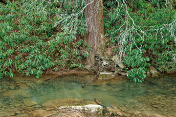 Crystal clear creek