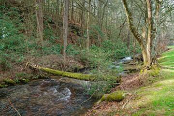 A stream through the mountains