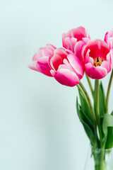 Tulips in a vase with a place for text vertical background