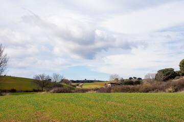 A wide view of a landscape with cloudy sky