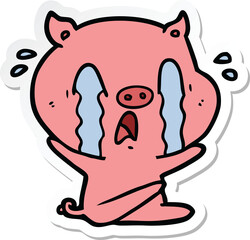 Fototapeta premium sticker of a crying pig cartoon
