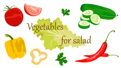 Vegetables for salad. Vector image of a tomato, cucumber, bell pepper, chili pepper. Ingredients for the dish. Food icons.