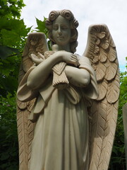 An angel with a dove. Sculpture in the cemetery. The figure of an angel with wings holding a bird...